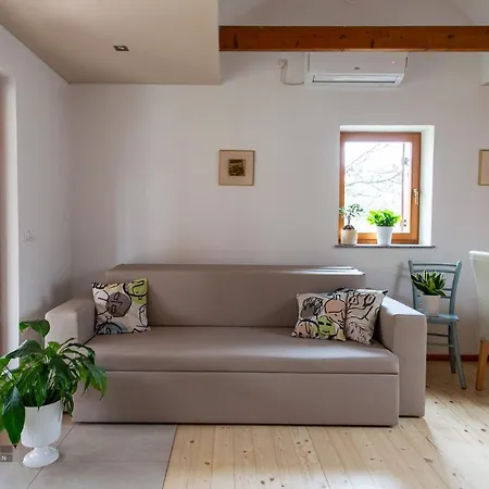 Apartma Vineyard Klemencic Novo Mesto