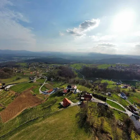 Vineyard Klemencic Novo Mesto