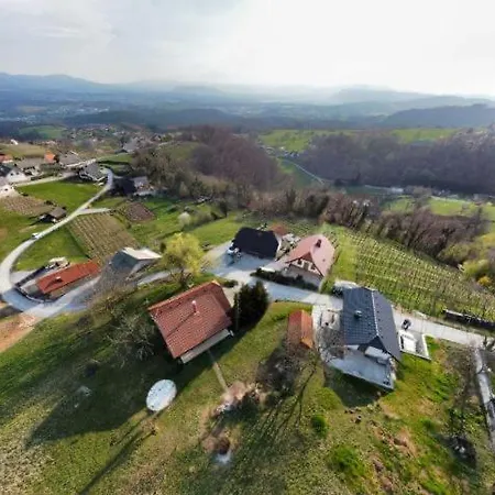 Vineyard Klemencic Novo Mesto