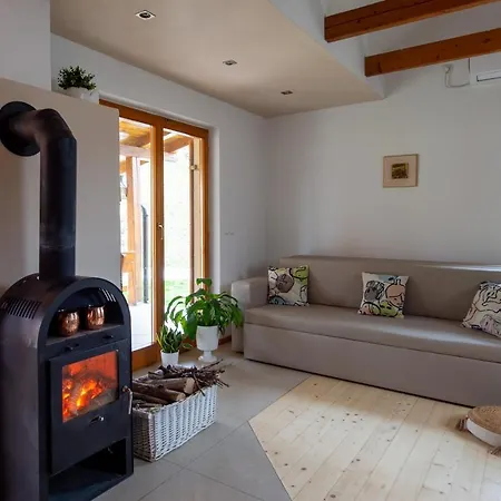 Vineyard Klemencic Novo Mesto