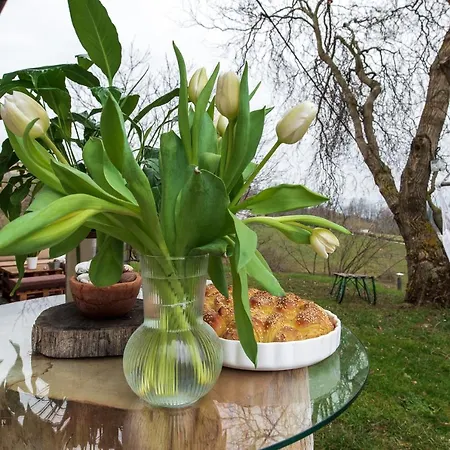 Vineyard Klemencic Apartment Novo Mesto
