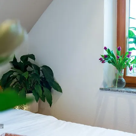 Vineyard Klemencic * Novo Mesto