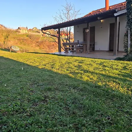 Vineyard Klemencic Novo Mesto