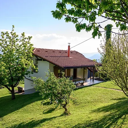 Apartma Vineyard Klemencic