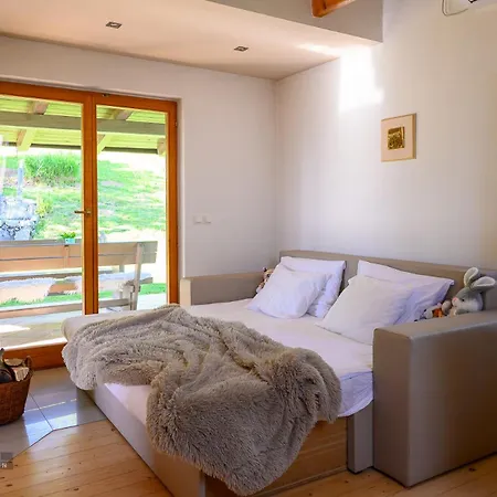 Vineyard Klemencic *