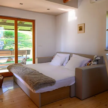 Vineyard Klemencic *