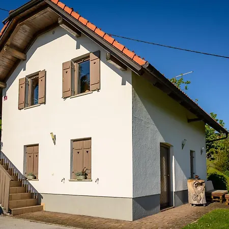 Daire Vineyard Klemencic *