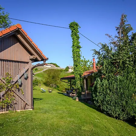 Daire Vineyard Klemencic Novo Mesto