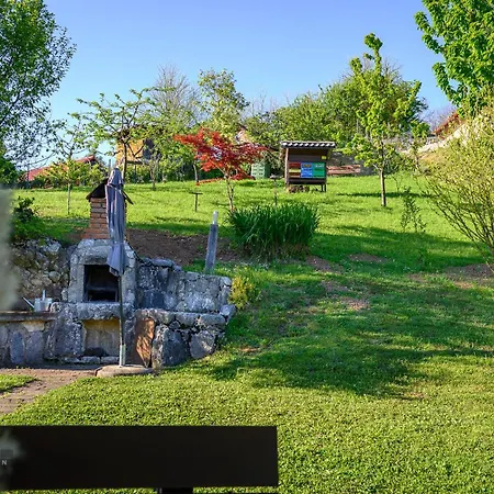 Vineyard Klemencic * Novo Mesto