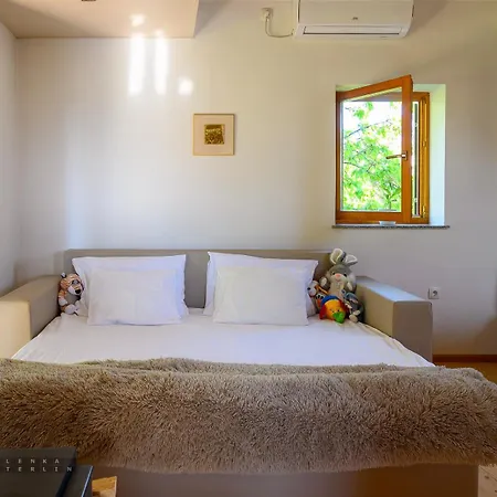 Vineyard Klemencic Apartment