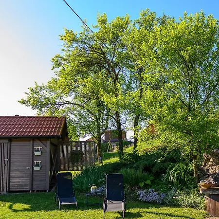 Vineyard Klemencic Daire Novo Mesto