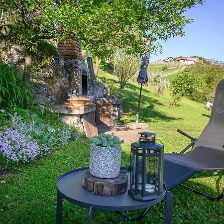 Vineyard Klemencic *