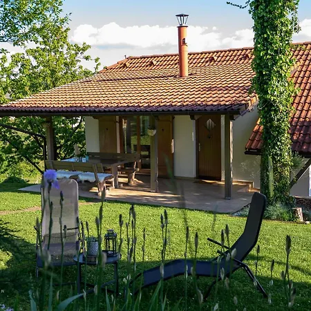 Vineyard Klemencic * Novo Mesto