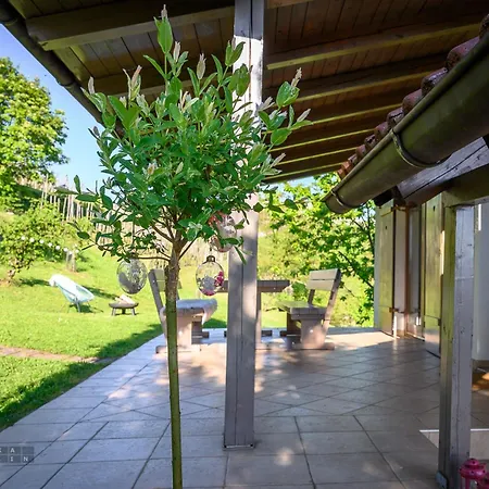 Vineyard Klemencic Daire *