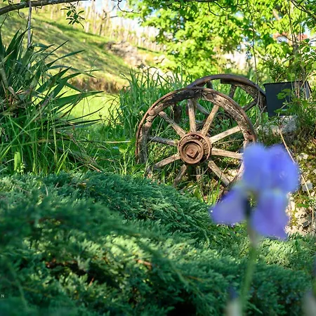 Vineyard Klemencic *