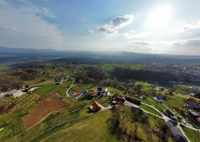 Vineyard Klemencic Novo Mesto