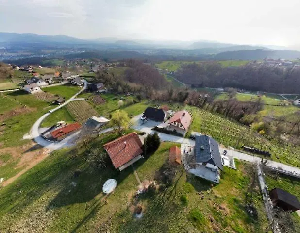 Vineyard Klemencic Novo Mesto