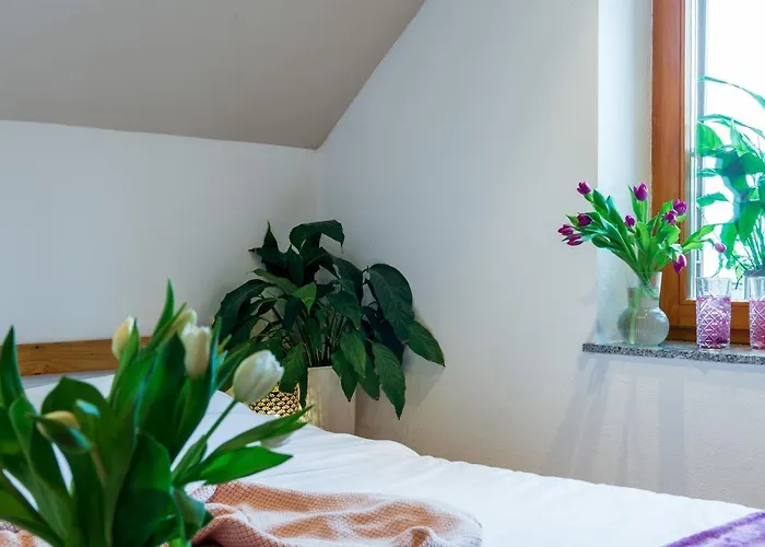 Appartement Vineyard Klemencic