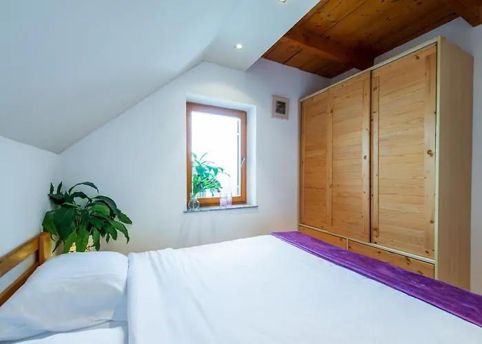 公寓 Vineyard Klemencic *