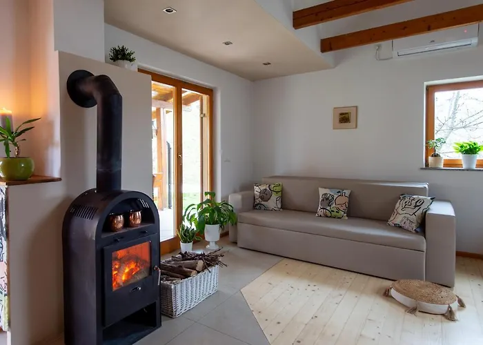 Vineyard Klemencic نوفو ميستو