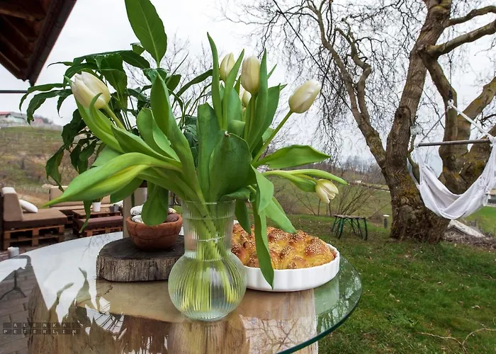 Vineyard Klemencic Appartement Novo Mesto