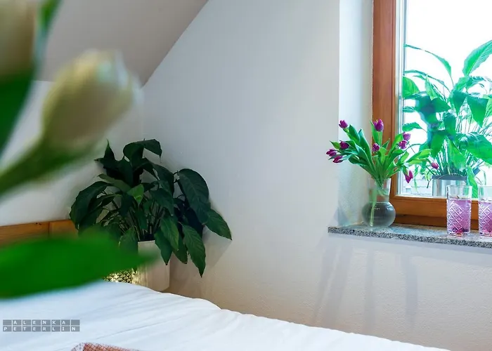 Vineyard Klemencic * Novo Mesto