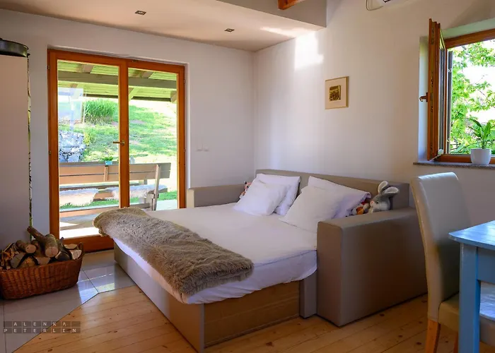 Vineyard Klemencic *