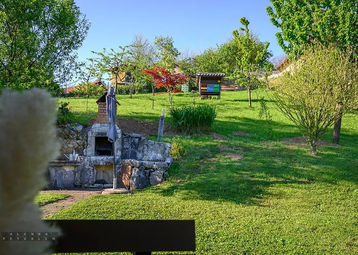Vineyard Klemencic * Novo Mesto