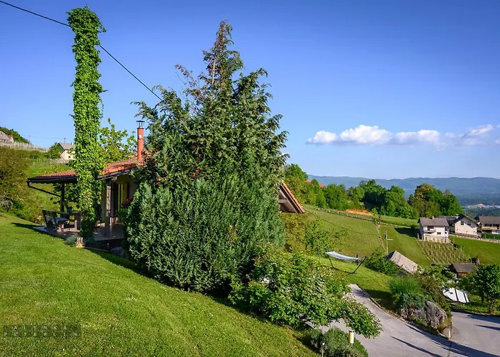 Vineyard Klemencic 公寓 新梅斯托