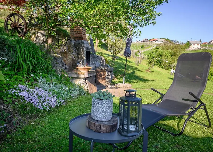 Vineyard Klemencic *