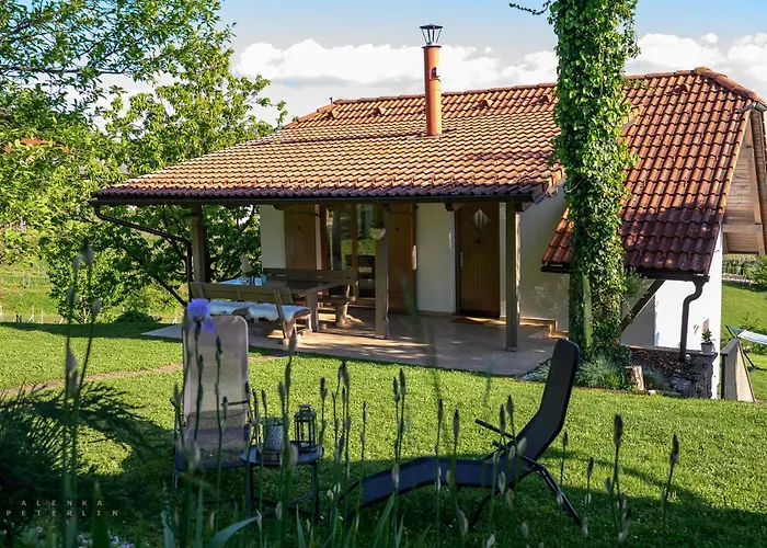 Vineyard Klemencic * 新梅斯托